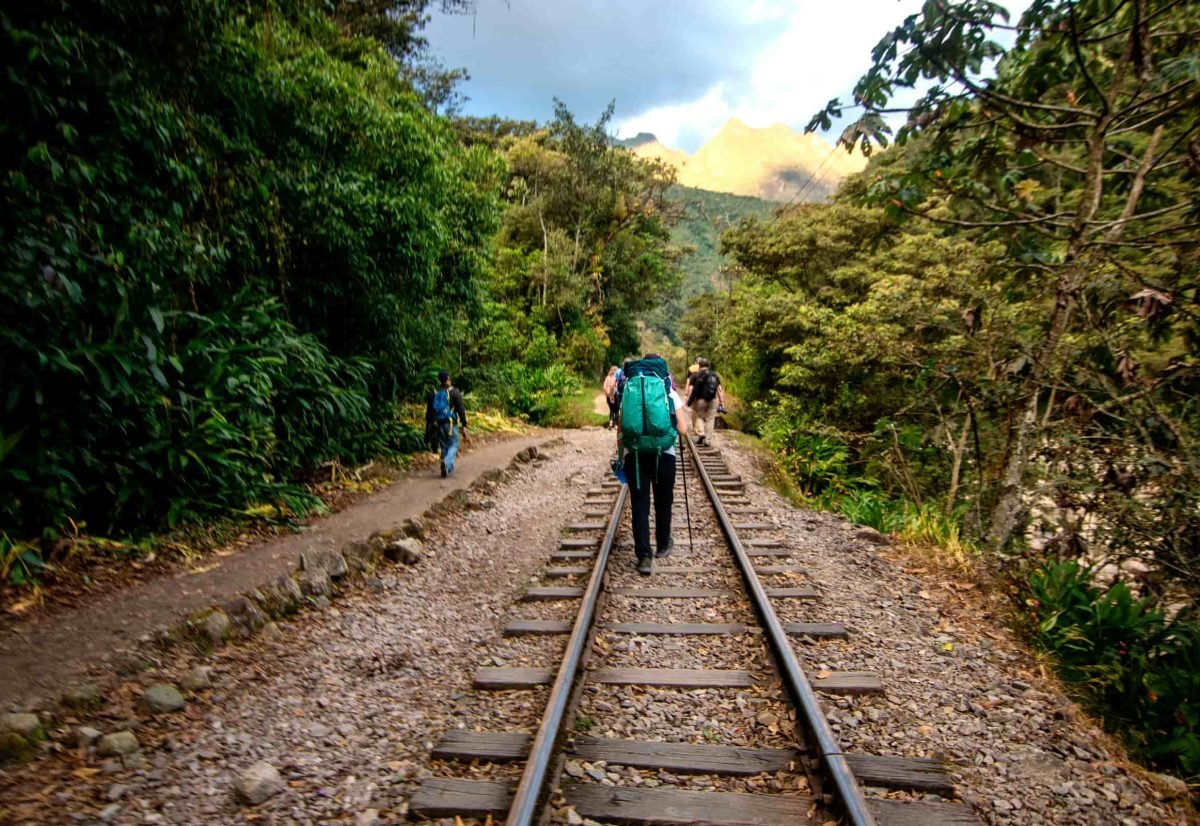 Machu Picchu Tour  1 day