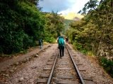 Machu Picchu Tour  1 day