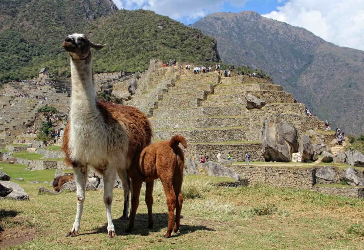 Classic Inca Trail 4 Days