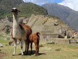 Classic Inca Trail 4 Days