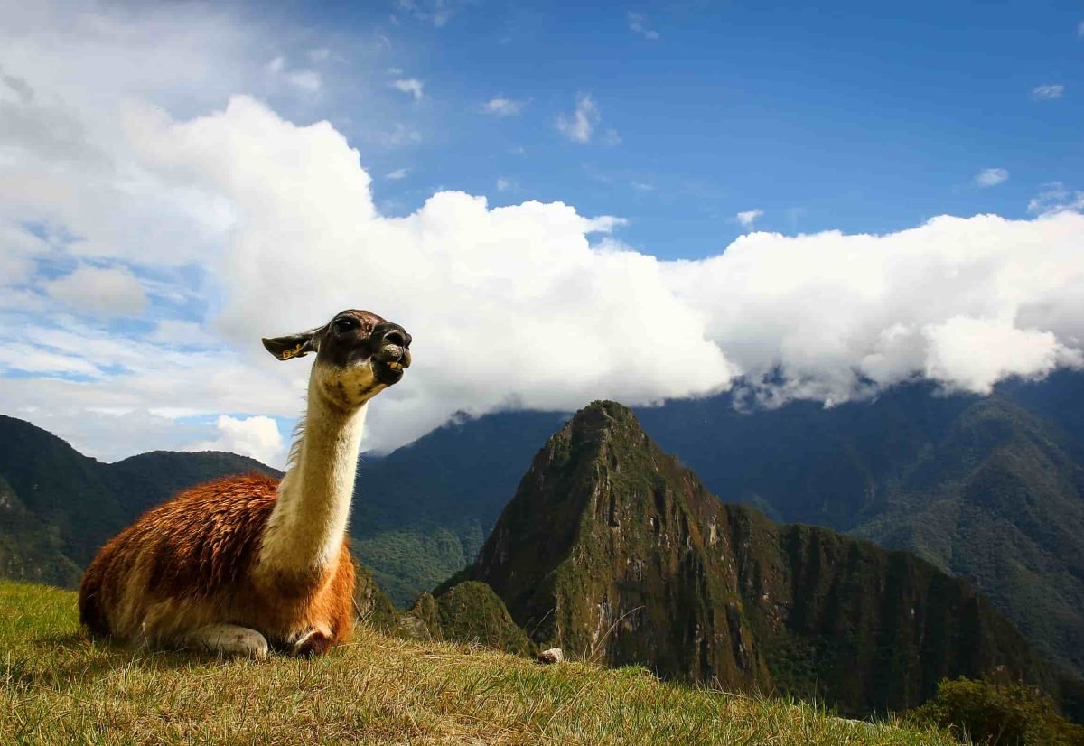 Classic Inca Trail 4 Days