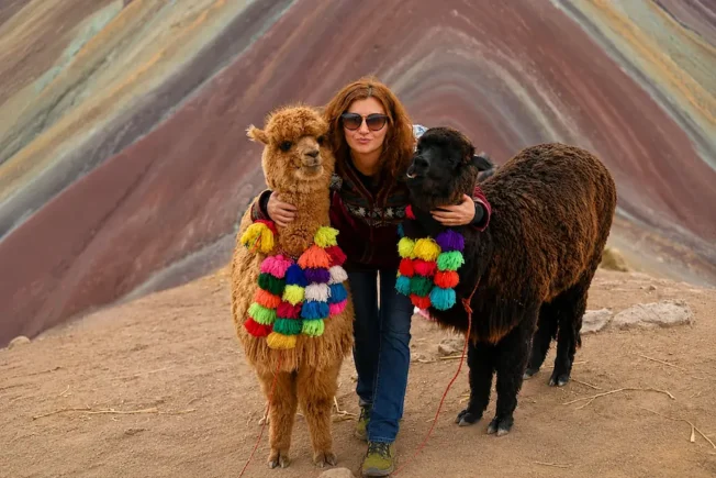 Llamas en la Montaña