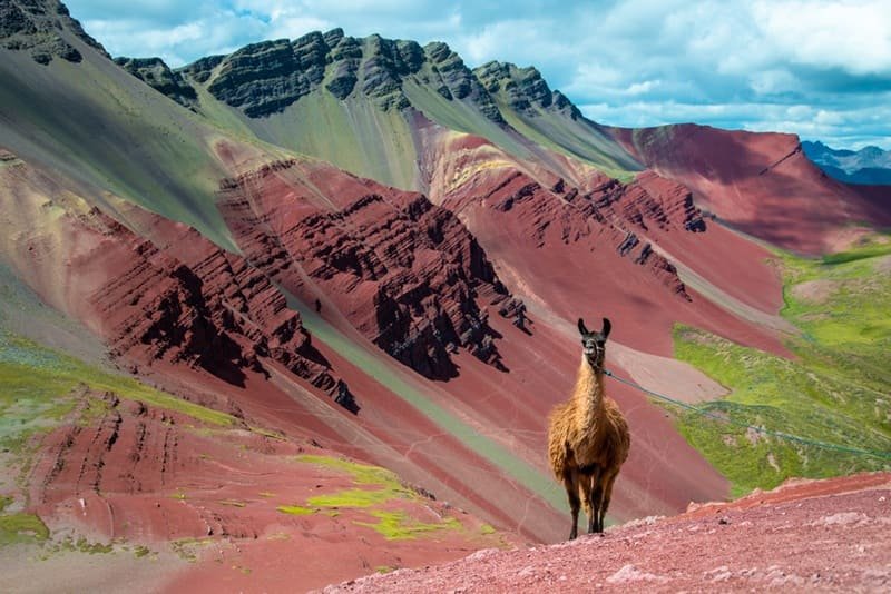 Rainbow Mountain Hike Peru – 1 Day Tour with Red Valley