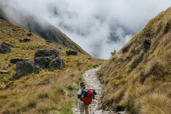 Climbing Through the Mist