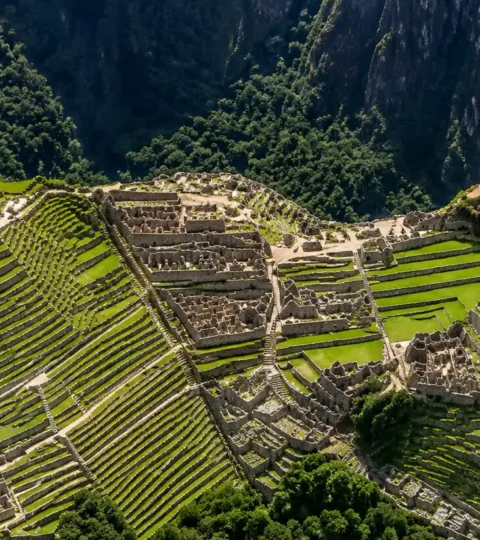 Machu Picchu Terraces: Why the Inca Built Them and How Inca Terrace Farming Worked