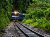 Blue and yellow train with its headlight on approaching along the rails through dense cloud forest