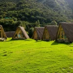 Chaullay Camp, 9,514 ft above sea level