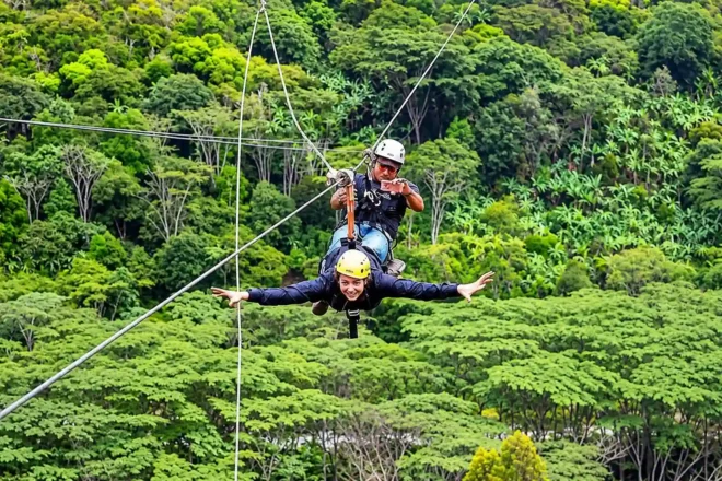 Flying Over the Jungle