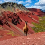 Red Valley, 16,404 ft above sea level