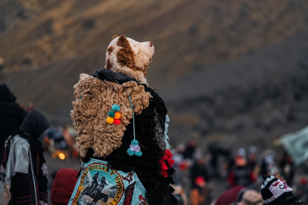 Ukuku dancer in alpaca wool and a woven mask at the Qoyllur Rit'i pilgrimage