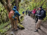 Guide erklärt der Gruppe den Nebelwald auf dem Inka Trail