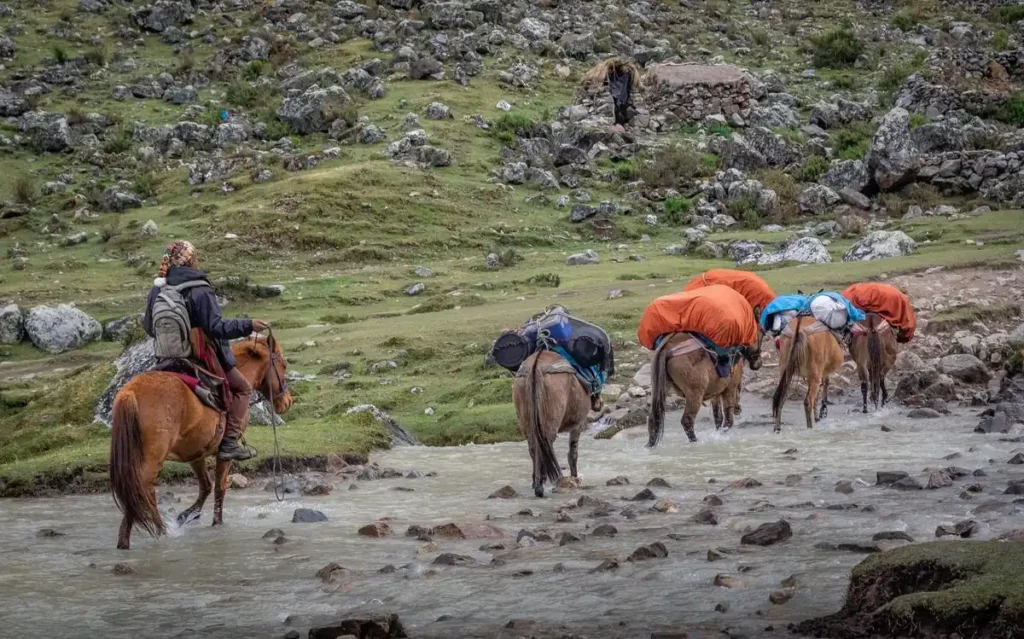Salkantay Trek Packliste: Packpferde tragen die Duffelbags durch einen Fluss