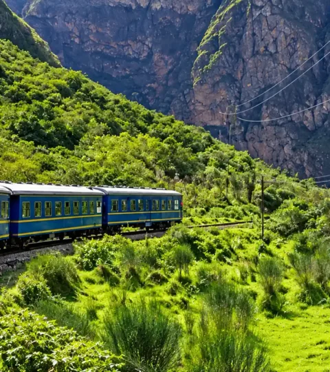 Train to Machu Picchu: Routes, Classes, Prices and How to Book