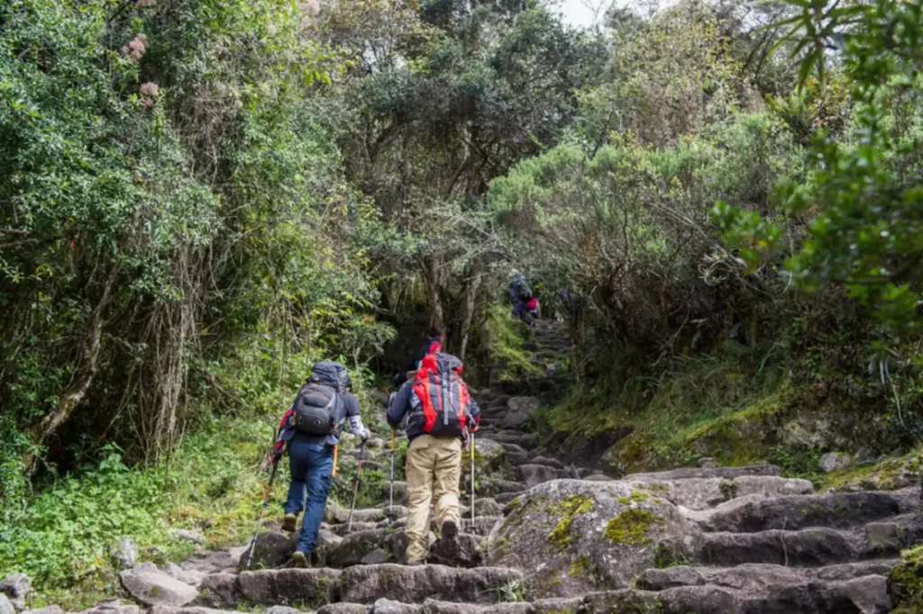 Trilhas no Peru: trilheiros no caminho de pedra da Trilha Inca clássica